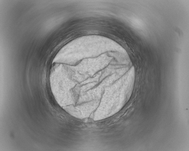 X0000115520194200912181513