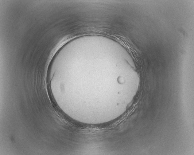 X0000115520195200912181513