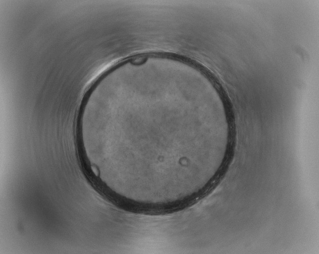 X0000115520196200912181513