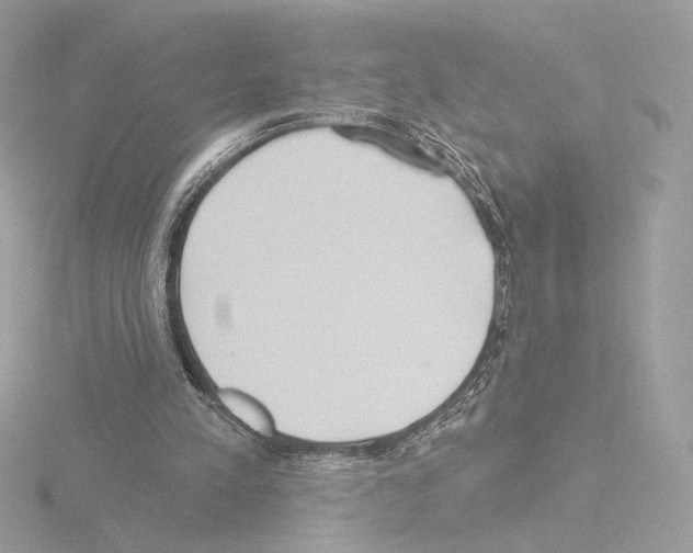 X0000115520197200912181513