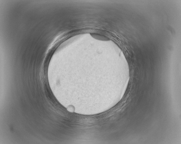 X0000115520198200912181513