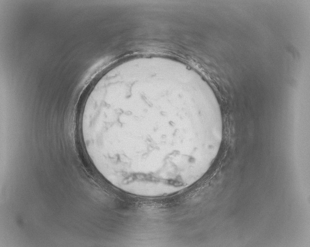 X0000115520199200912181513