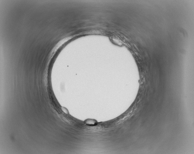 X0000115520200200912181513