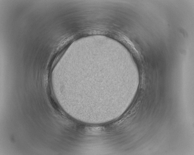 X0000115520202200912181513