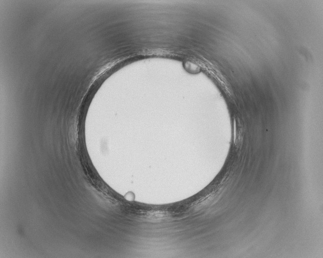 X0000115520204200912181513