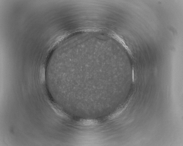 X0000115520205200912181513