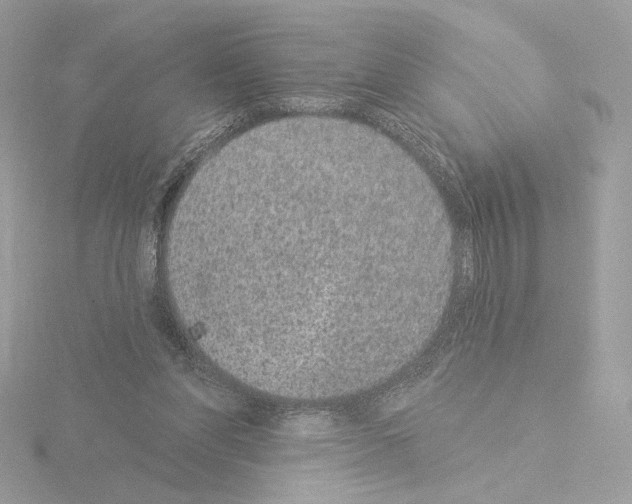 X0000115520206200912181513