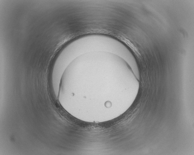 X0000115520207200912181513