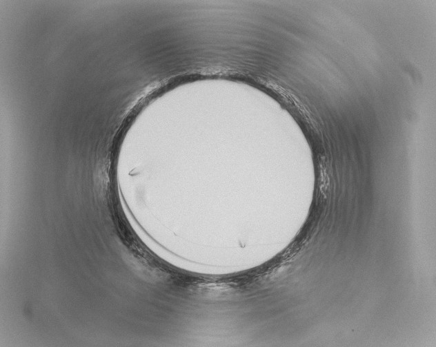 X0000115520208200912181513