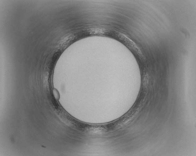 X0000115520209200912181513