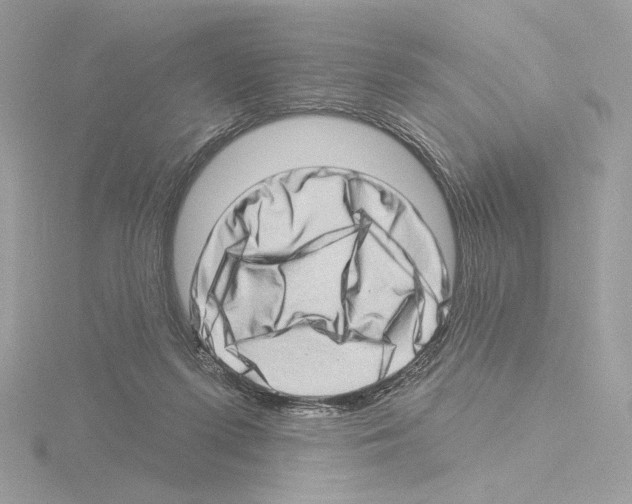 X0000115520215200912181513