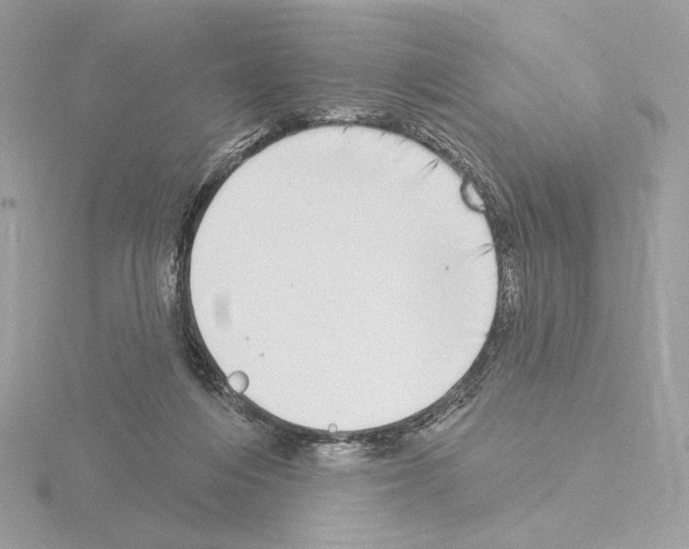 X0000115520216200912181513