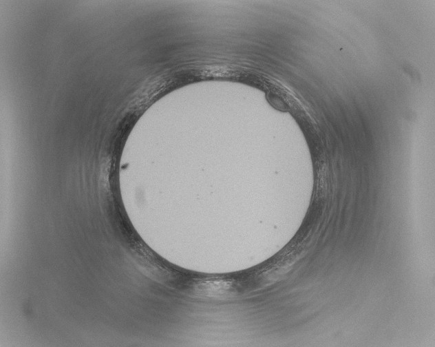 X0000115520217200912181513