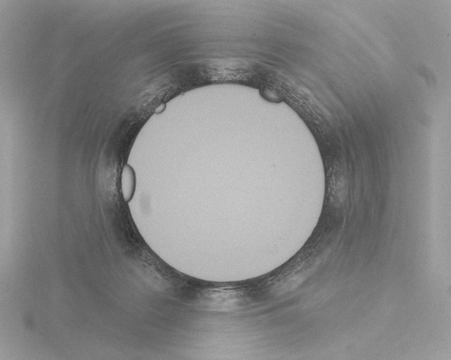 X0000115520219200912181513