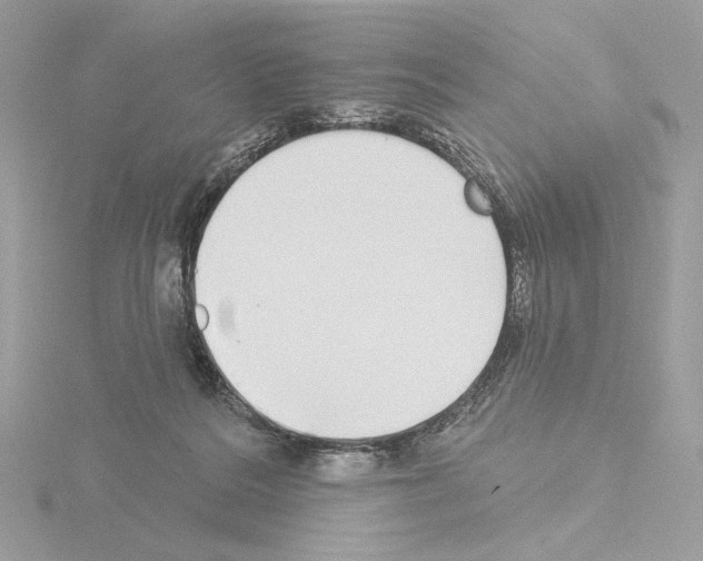 X0000115520220200912181513