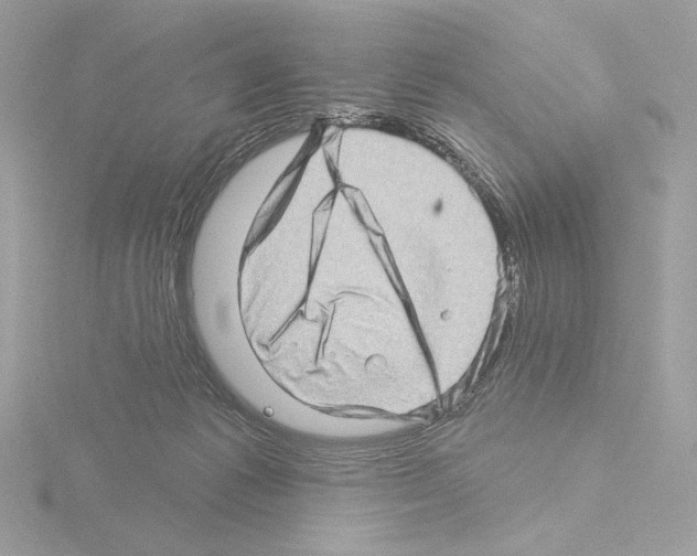 X0000115520221200912181513