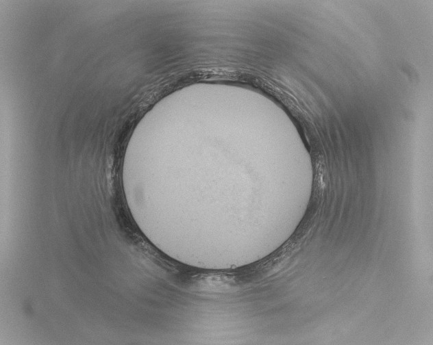 X0000115520223200912181513