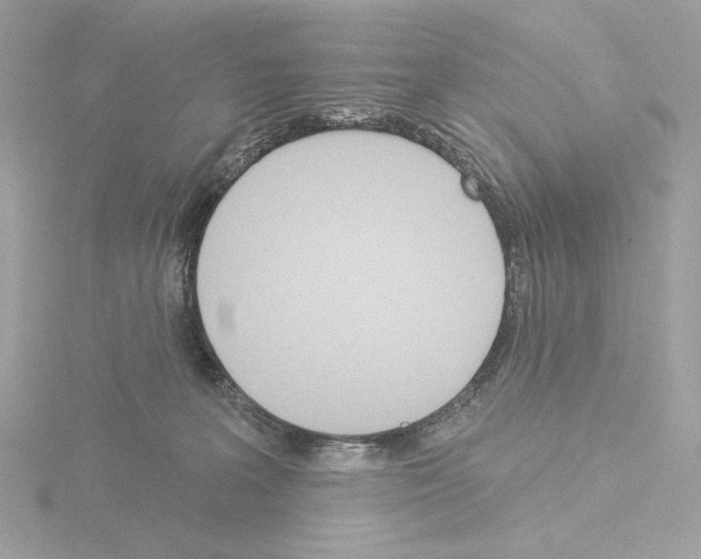 X0000115520227200912181513