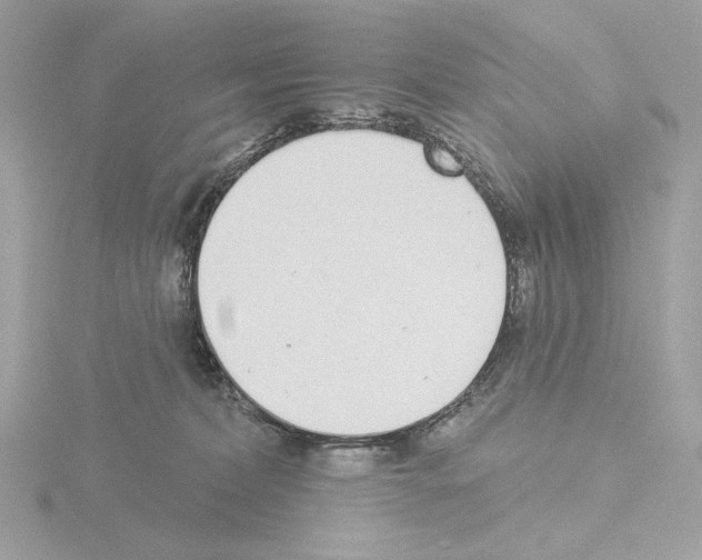 X0000115520228200912181513