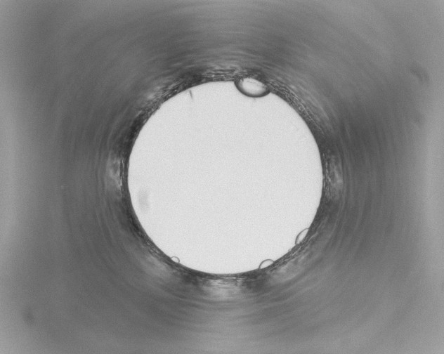 X0000115520232200912181513