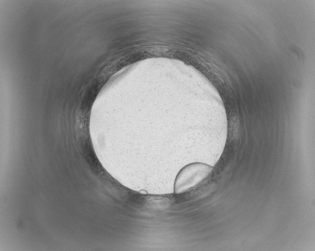 X0000115520234200912181513