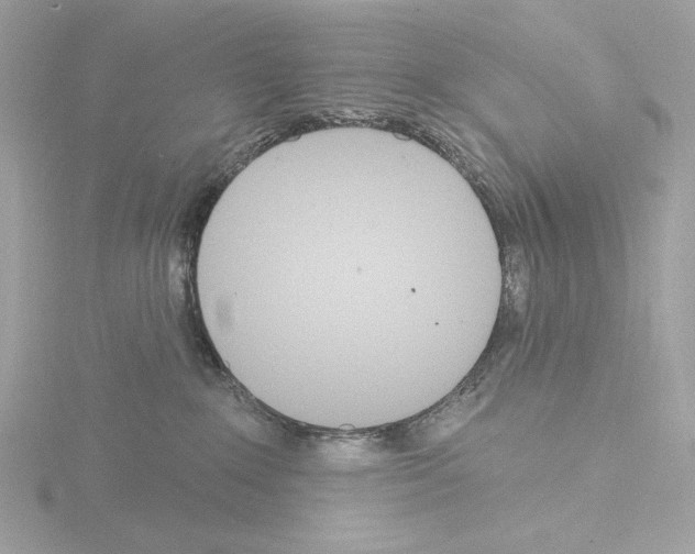 X0000115520235200912181513