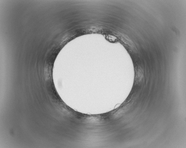 X0000115520236200912181513