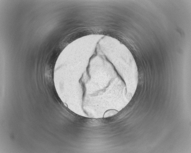 X0000115520238200912181513