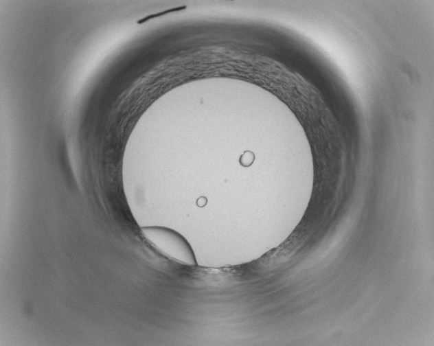 X0000115520239200912181513