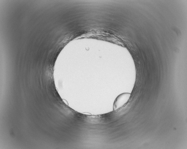 X0000115520240200912181513