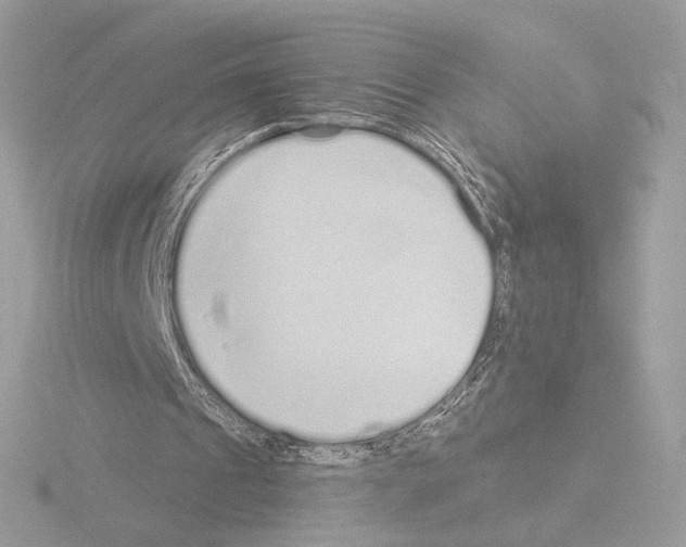 X0000115520241200912181512