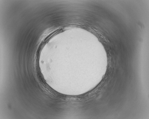 X0000115520242200912181512