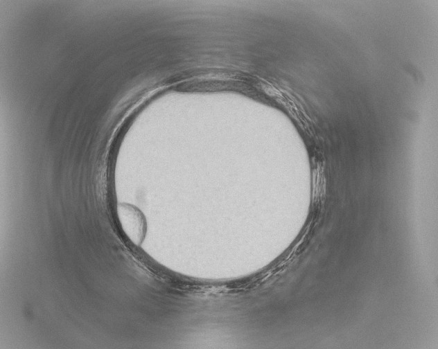 X0000115520243200912181512