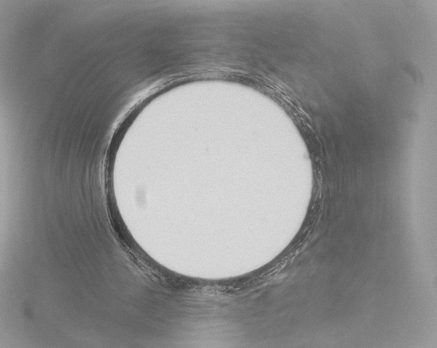 X0000115520244200912181512