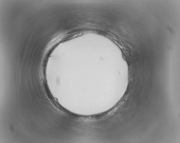 X0000115520245200912181512