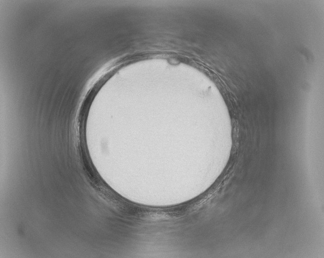 X0000115520246200912181512