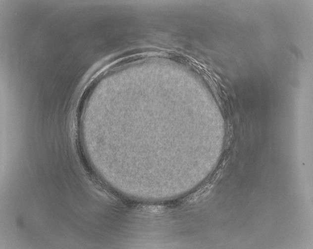 X0000115520247200912181512