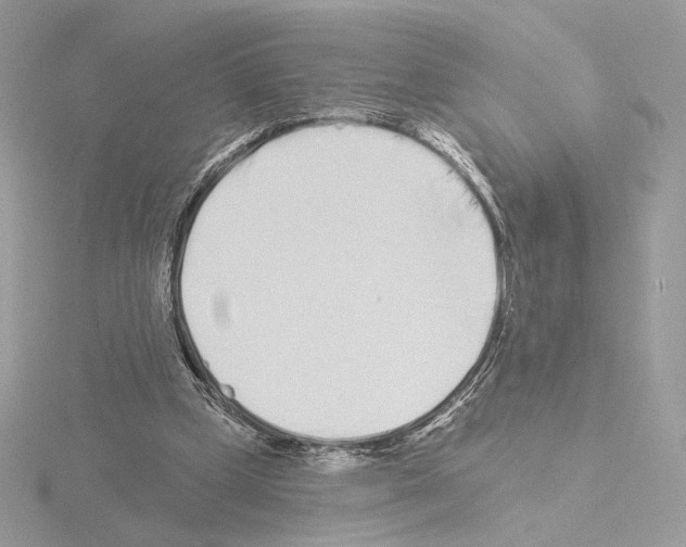 X0000115520249200912181512