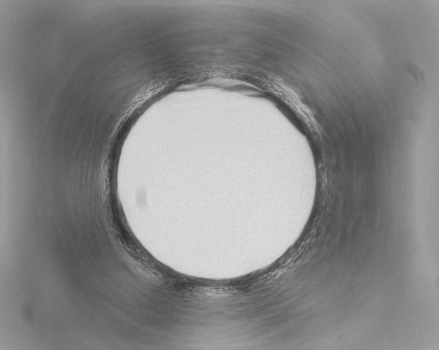 X0000115520250200912181512