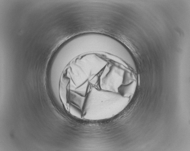 X0000115520252200912181512