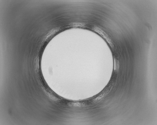 X0000115520253200912181512