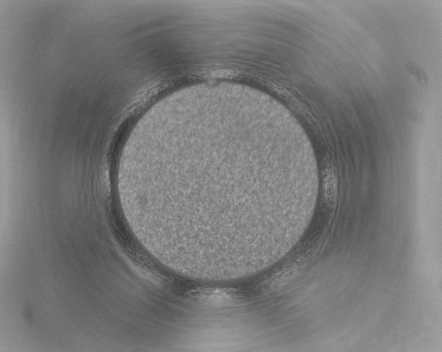 X0000115520254200912181512