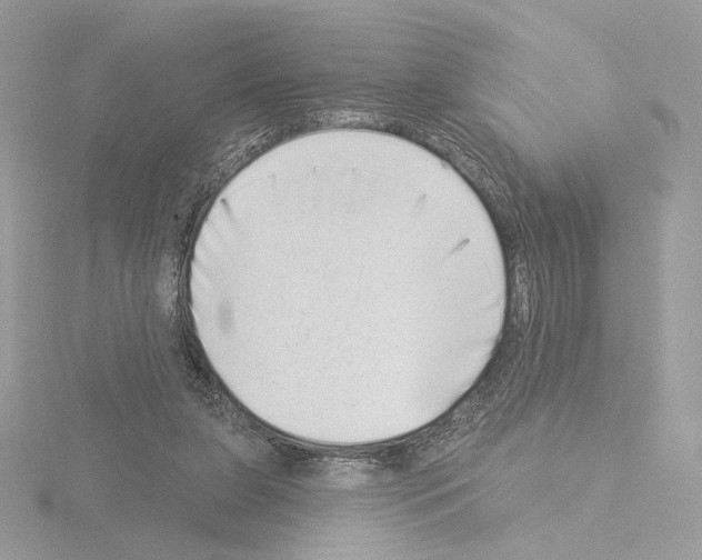 X0000115520255200912181512