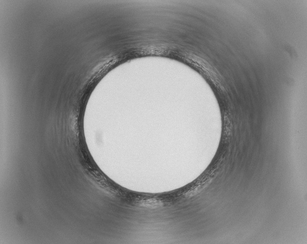 X0000115520258200912181512