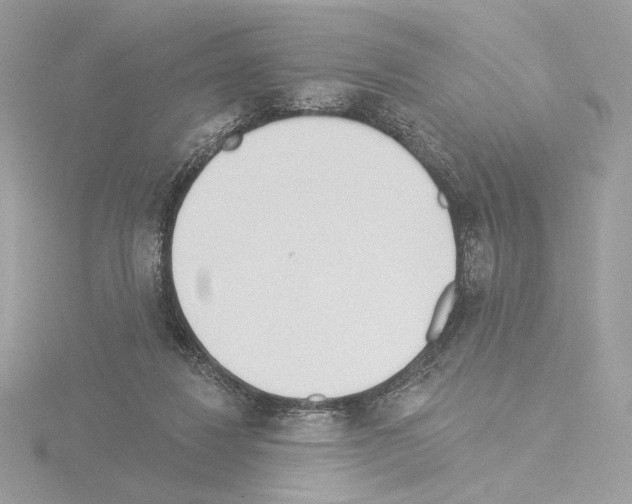 X0000115520260200912181512