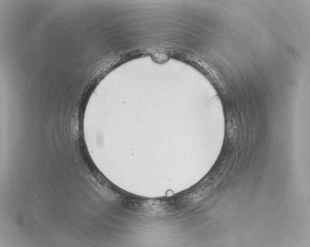 X0000115520261200912181512