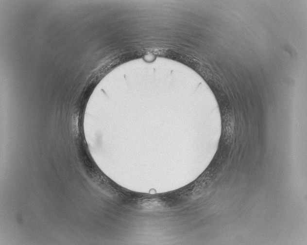 X0000115520262200912181512