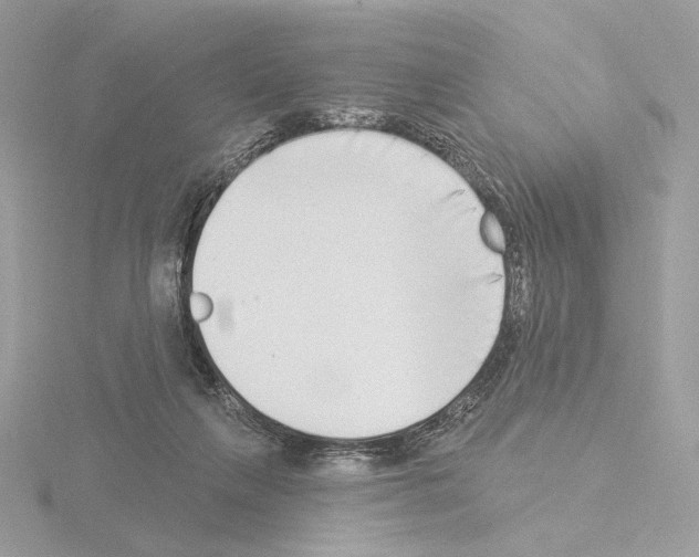 X0000115520263200912181512