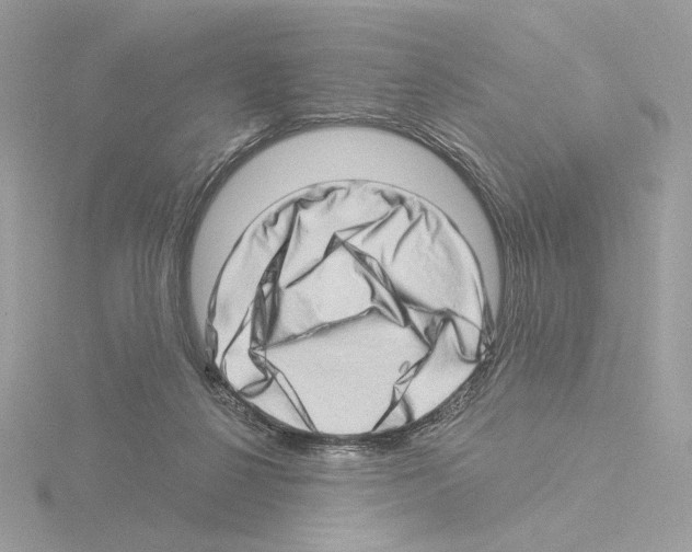 X0000115520264200912181512