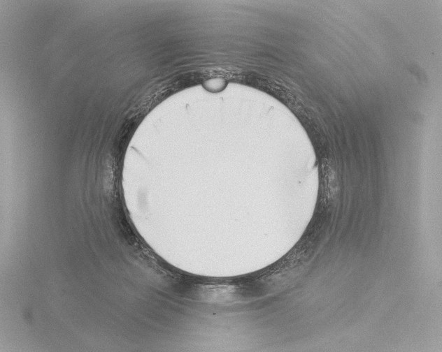 X0000115520266200912181512